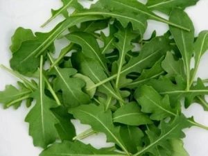 resized300_Seminte de Rucola plante aromatice.webp Seminte de Rucola - plante aromatice, 2 grame, Opal
